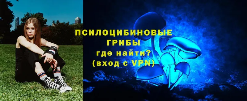 Псилоцибиновые грибы прущие грибы  hydra ONION  Вяземский 